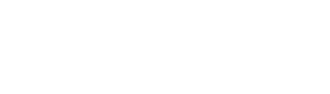 LEVEL WHITE logo